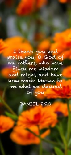 EF180570-6593-4612-8EBE-C5B50DAB5AF4