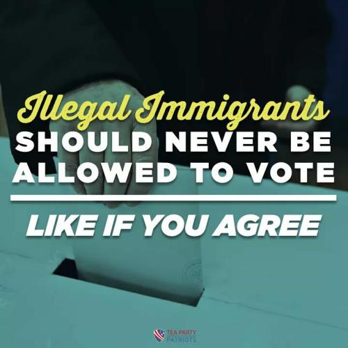 Illegals131