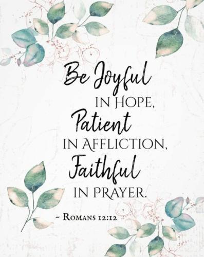 79d55363-bf17-41c8-b70a-5f8cf0a961c7