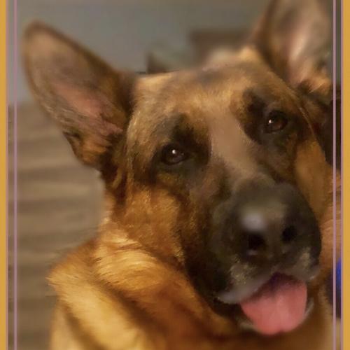 5985F57D-AF6F-44BB-8FB4-4BF1530DA9FE