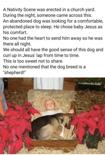 D58B943B-A67F-4DD3-8368-ADFB0FEE478A