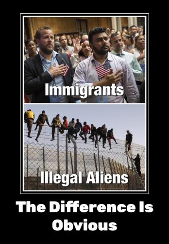 Illegal Aliens