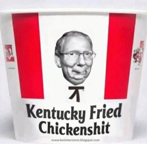 88e2a1b11bdb1f2ba108f181e57d247f_500x0