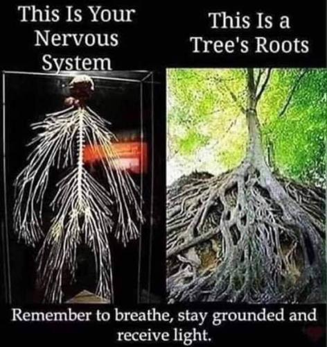 FB_IMG_1638405259542