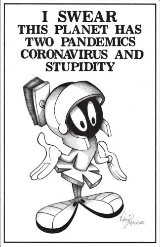 116709266_184355313079033_8283100596262403672_n