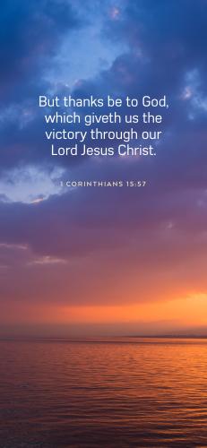 6F7BB748-E330-4981-B3CD-7D1B8F55EFBF