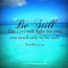 c302a6f8-739e-4c45-b6ee-2fd768f95751