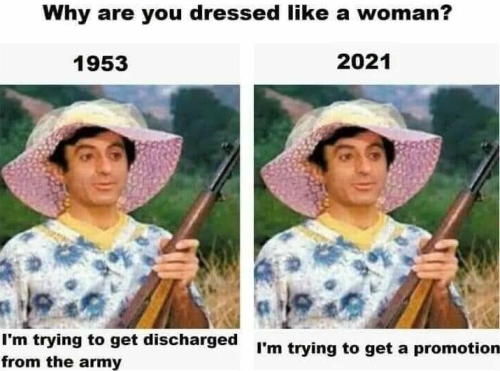 Meme353