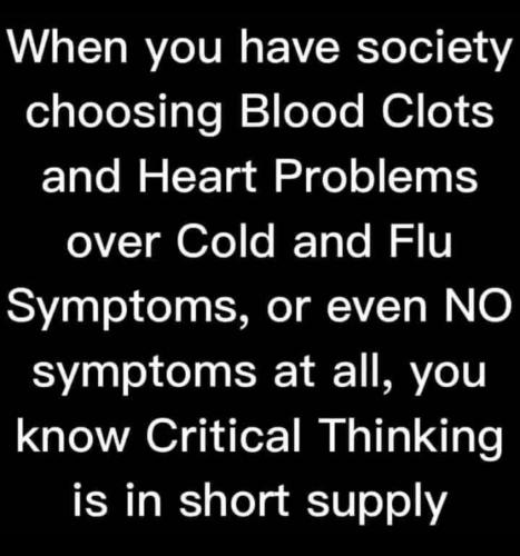 24B5DE79-2726-4D5E-8A6D-2A8509AFE57E