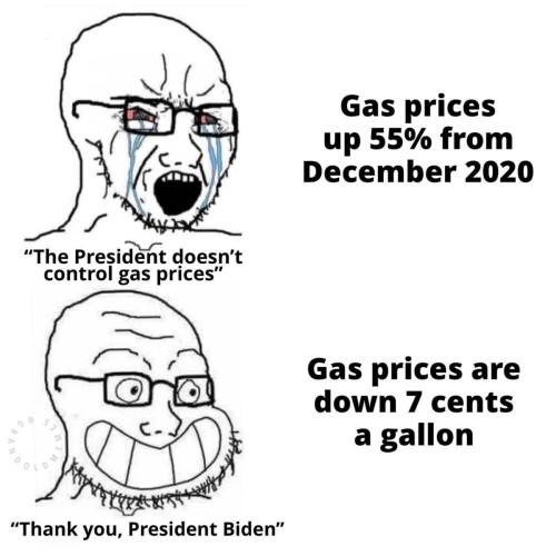 humanstupidityplusplus