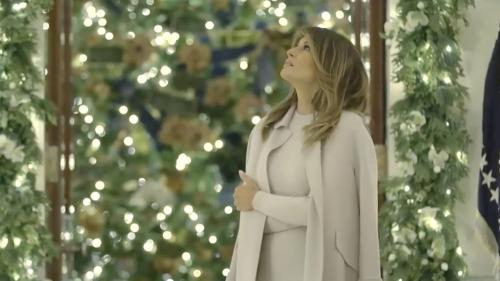 this-critic-went-off-on-melania-trump-over-this-inappropriate-coat-1607550629