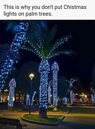 FB_IMG_1639169725523