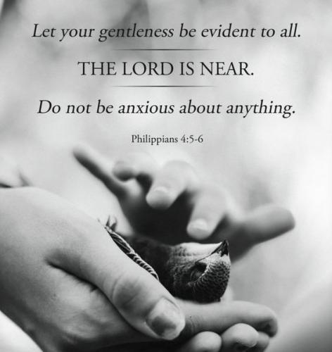 IMG_20211208_195025_561