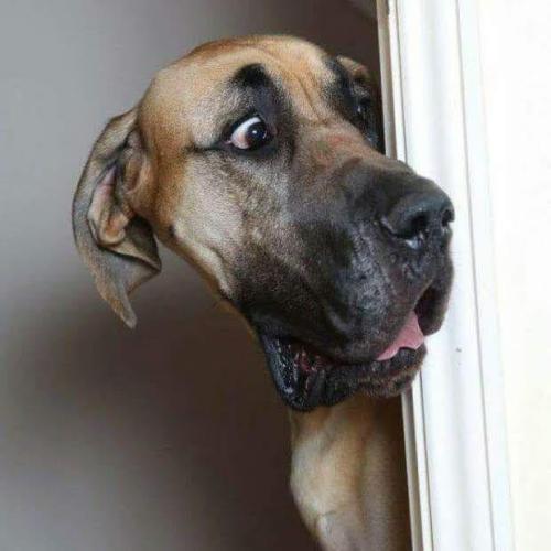 IMG_20210413_161815_01_091057