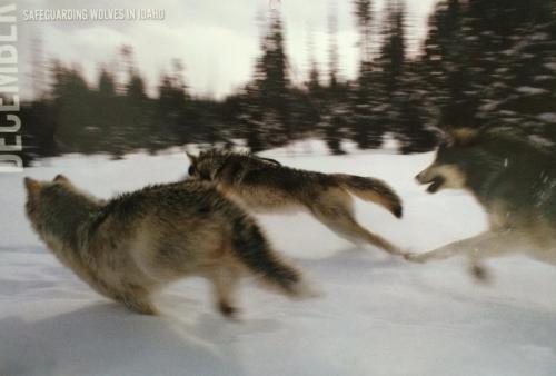 15DEBA09-9E13-4CAB-9CCC-9A42E99C2A28