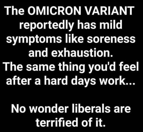 263729481_202488405404241_2898457745934673431_n