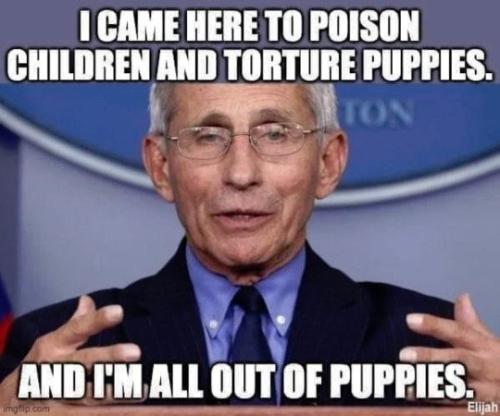 ff8aa05c-459b-494b-9e18-54b5fa22a447