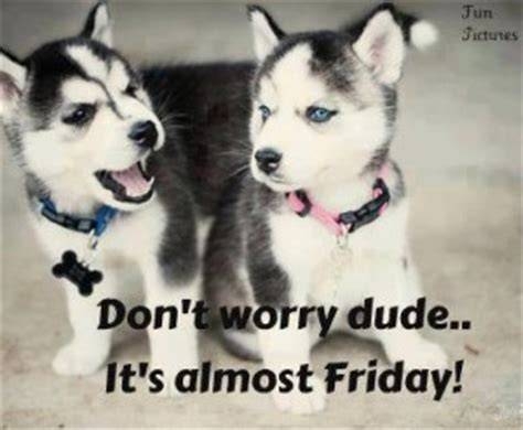 6bb06e81-b980-45dc-abd6-360ab346d8e7