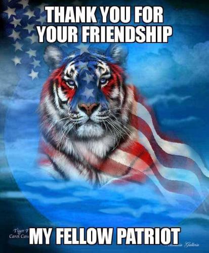 a3eaf2e04daaf19859f56c31bf389a61_1024