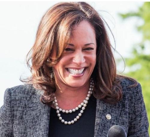 bidenhohoworkshard forthemoney