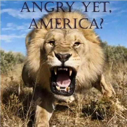 angry yet