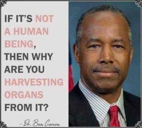 Abortion1