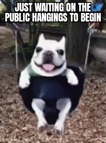 GifMeme 11112021192331
