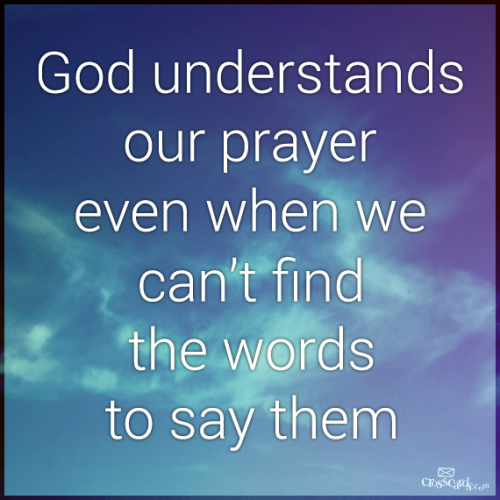 img (36)