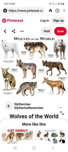 Screenshot_20211209-094135_DuckDuckGo