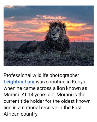 11522