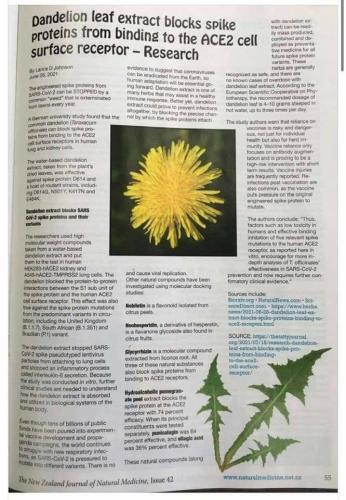 -4990359318138301098_121_54950269902080