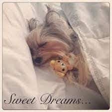 facebook_1639843921913_6878003921059110070