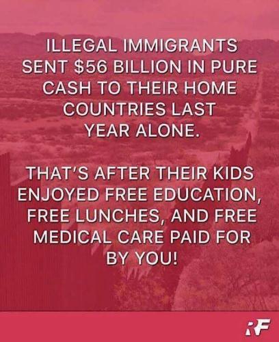 Illegals255