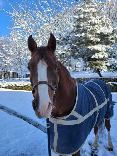 Resized_20211226_105719(1)