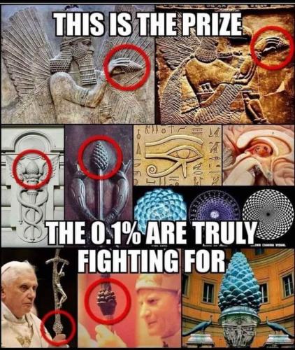 FB_IMG_1638485846124