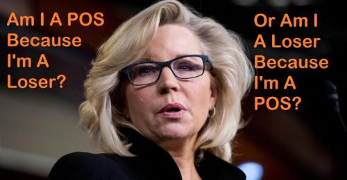 Liz Cheney POS and Loser