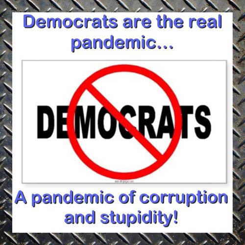 D1AACD02-FFE0-4FEA-92B4-72B4A3C90379