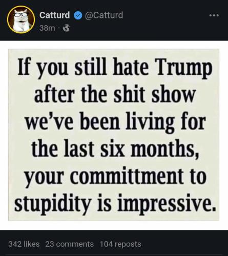 tryaVdWlPr69bmun2O3D_12_9d1ad26a58d6948e15a8e51a278bdb2f_image_original