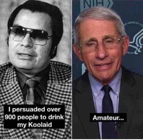 Amature