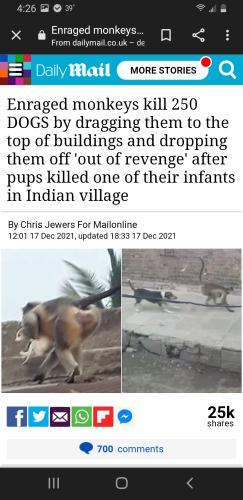 Screenshot_20211218-162651_Chrome