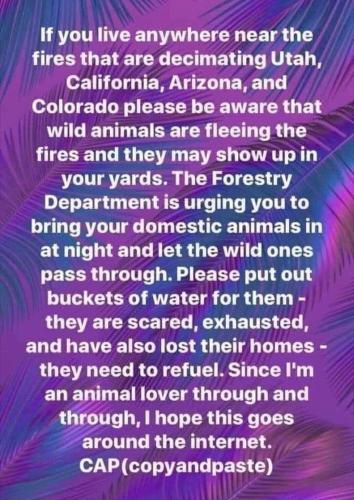 IF YOU LIVE