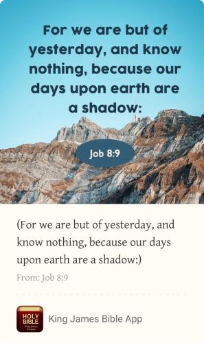 D28B741F-1A91-43D1-B4D0-EE12FE889907