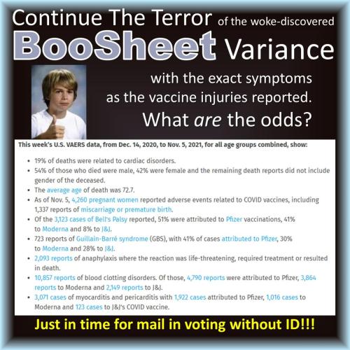 00000boosheet variance