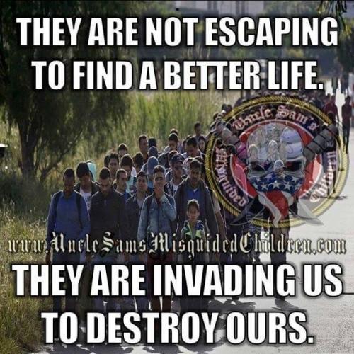 44730781_10217513138360815_7020492527736193024_n