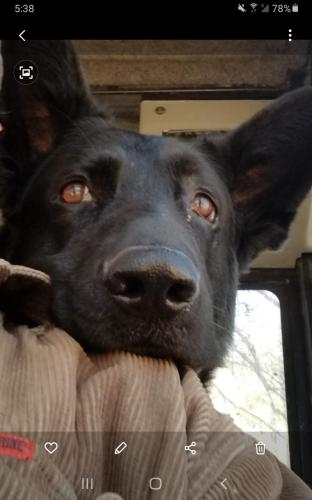 Screenshot_20210923-173810_Gallery