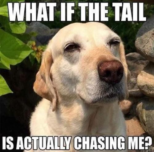 B55D7660-F2B3-434D-86C7-F57DF10251CA