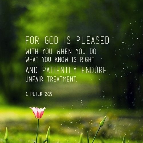 IMG_20211208_194930_736