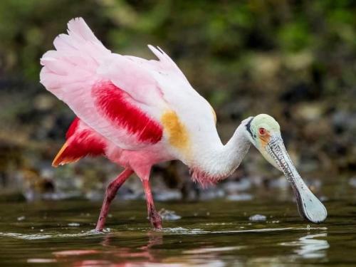 B54CC126-E988-419B-858E-2FFC2B1CAEBE