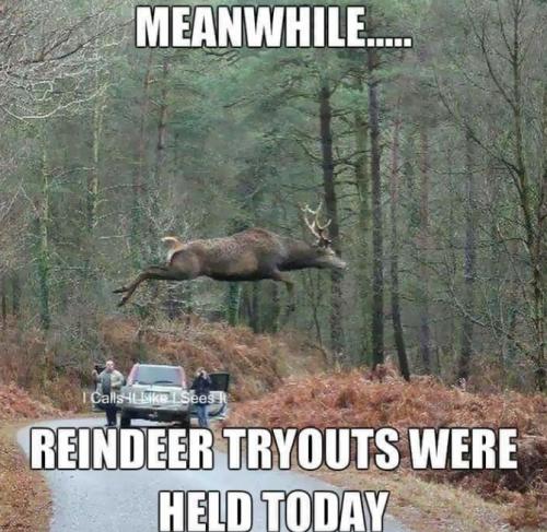 tryouts