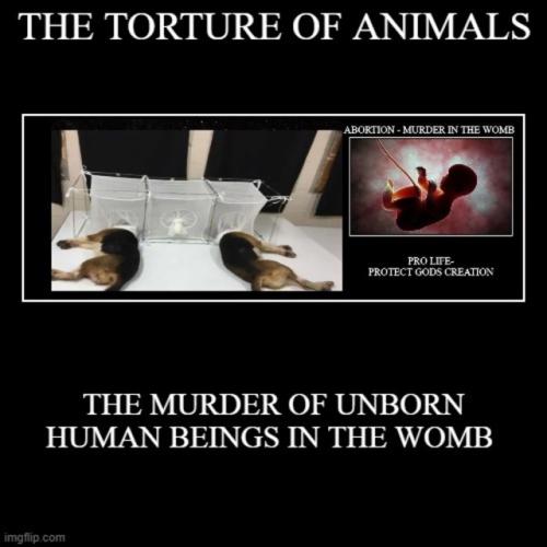 murderofunbornhumanbeings